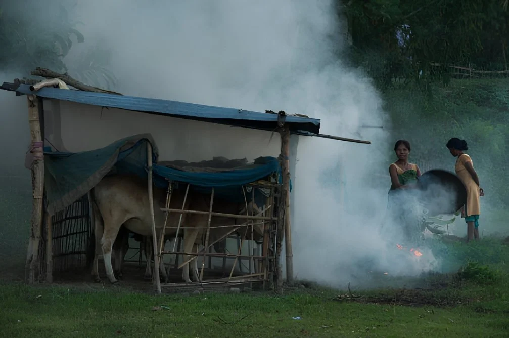 Mising Flood Resilience: Traditional Wisdom in Assam