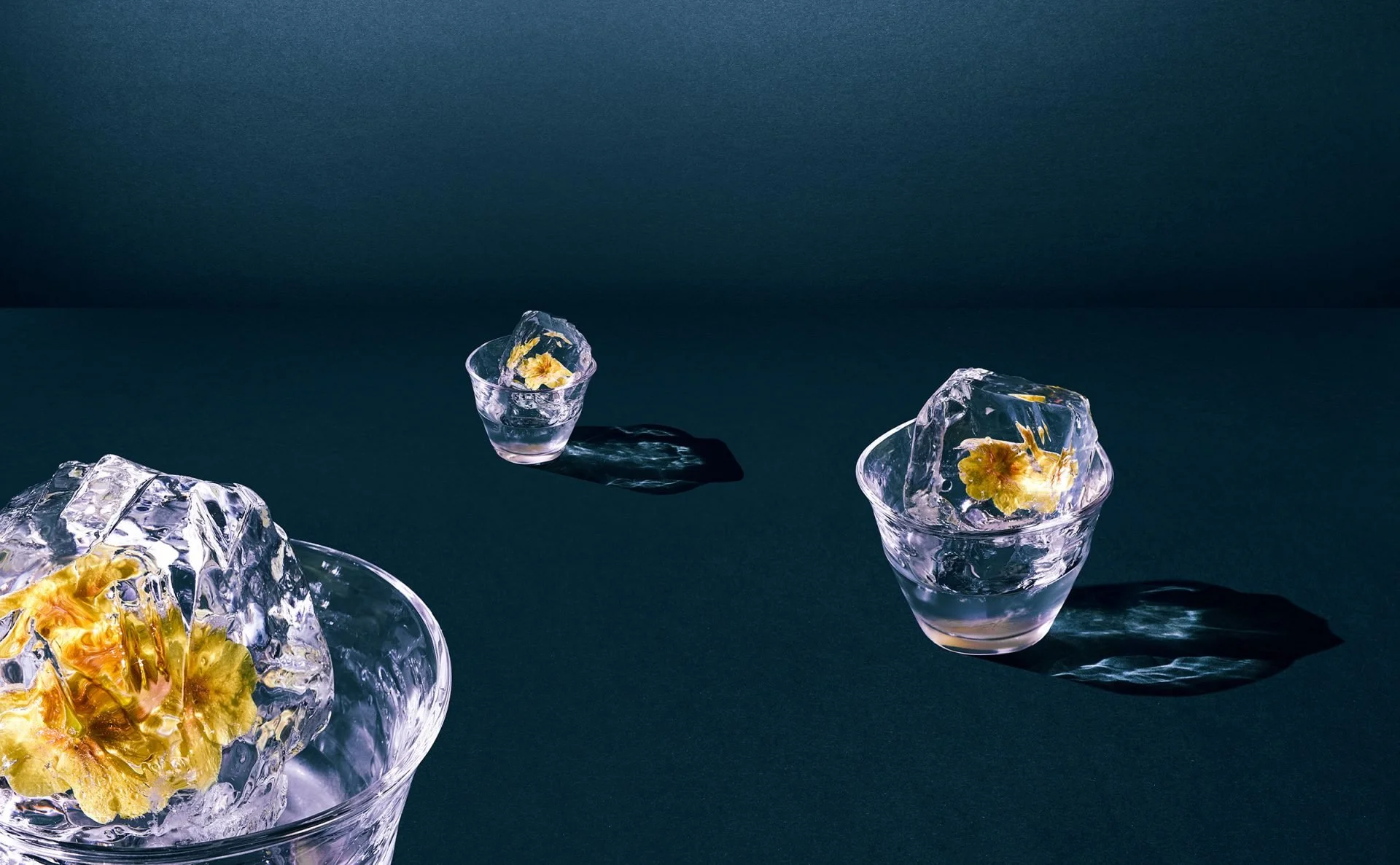 Glass bowls with large ice cubes containing yellow flowers, arranged on a dark surface with a dark background.