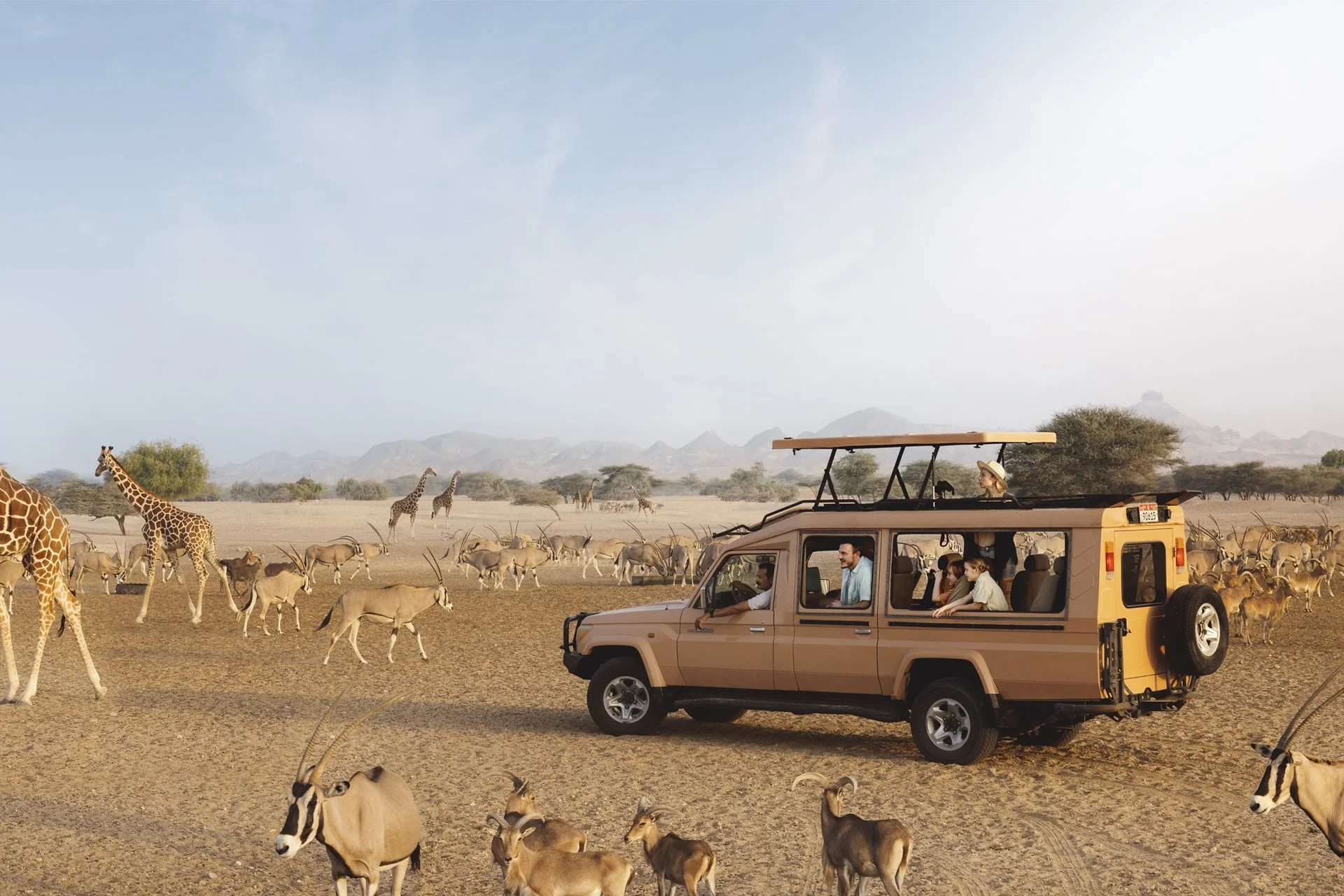 A safari tour with a beige open-top vehicle filled with tourists, surrounded by giraffes, antelopes, and zebras grazing in the savannah, with a mountain range and a faint sky in the background.