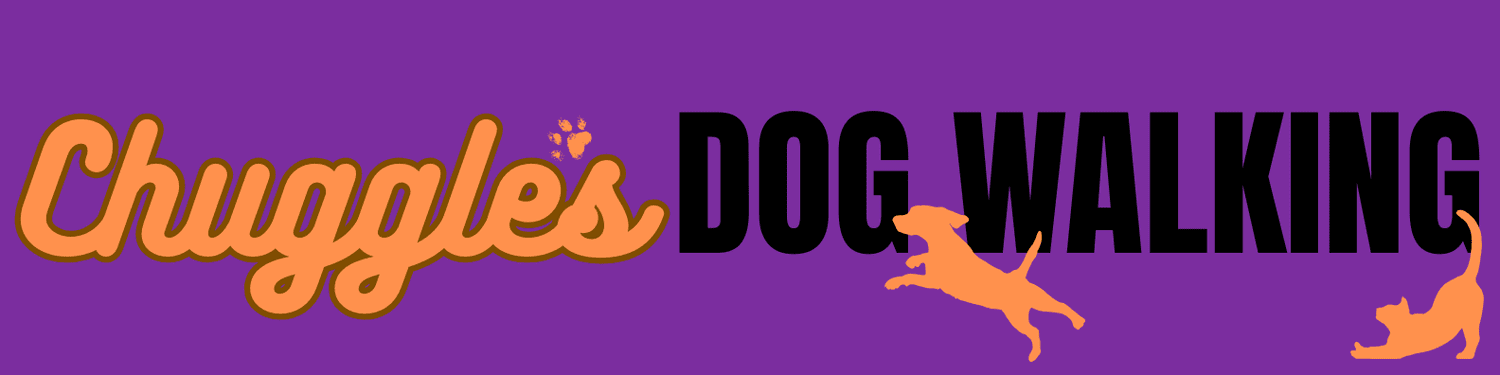 Chuggle's Dog Walking