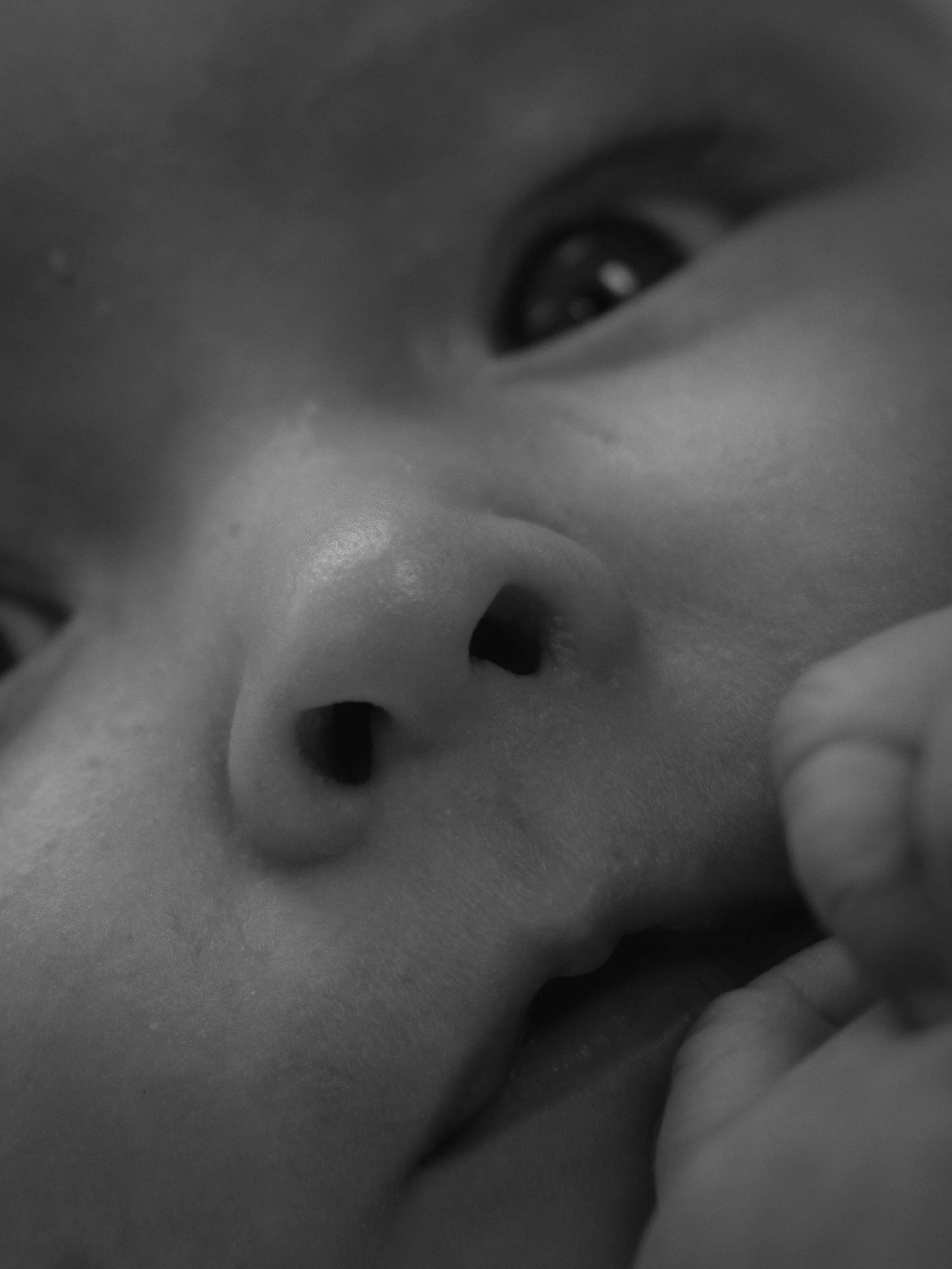 Close-up of a baby elephant's face showing its eye, trunk, and part of its forehead.