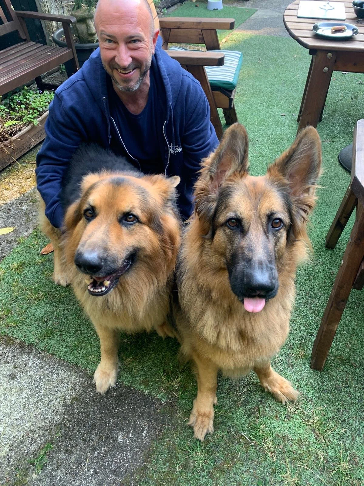 A smiling man with a shaved head and beard, wearing a blue hoodie, is kneeling in a backyard. There are two German Shepherd dogs sitting beside him, both looking at the camera. The backyard has green grass, wooden furniture, and a small patio area.