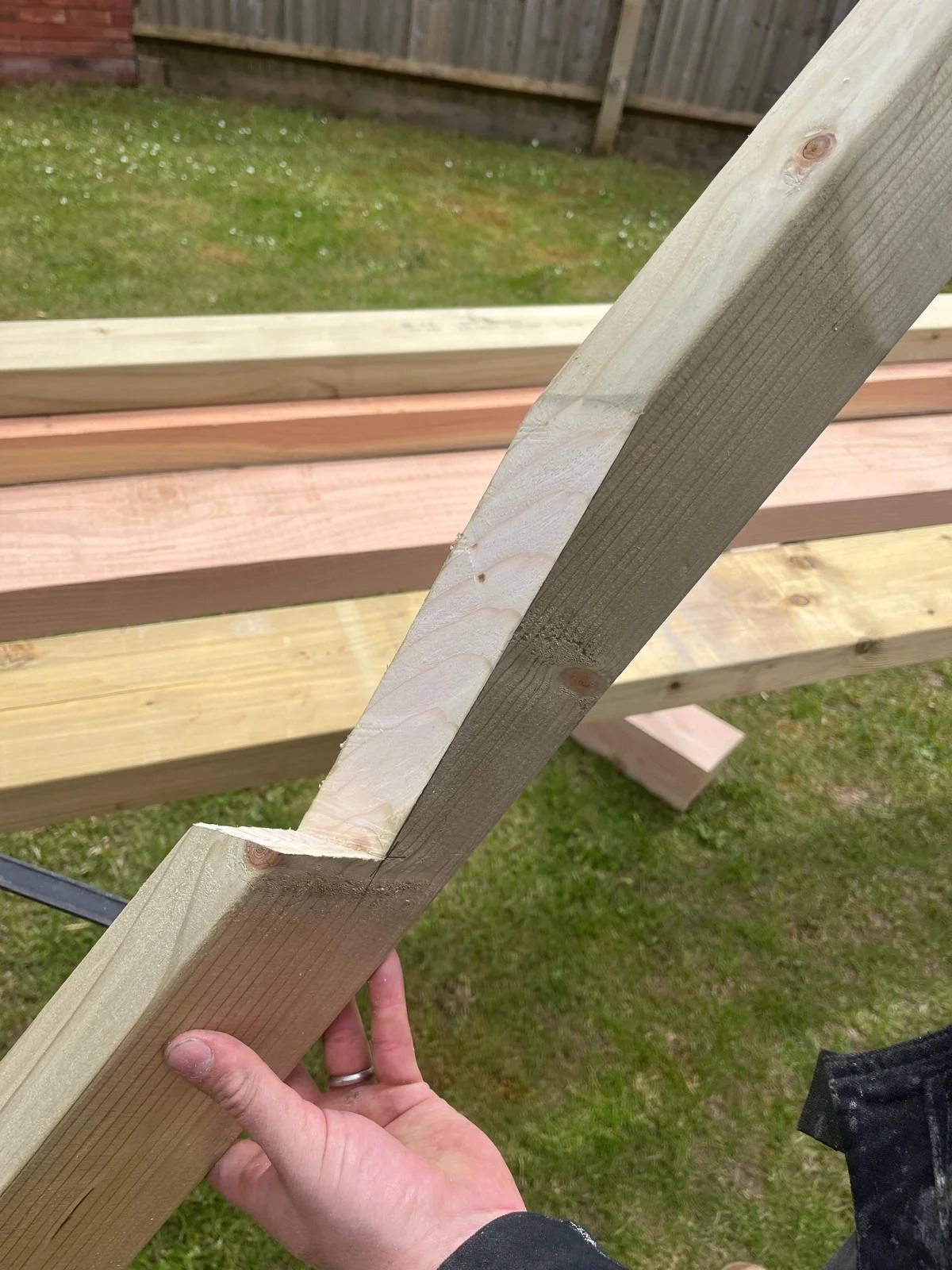 pergola 9.jpg