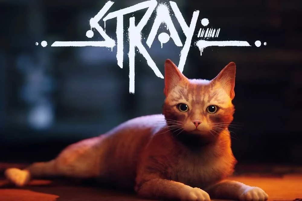 Stray