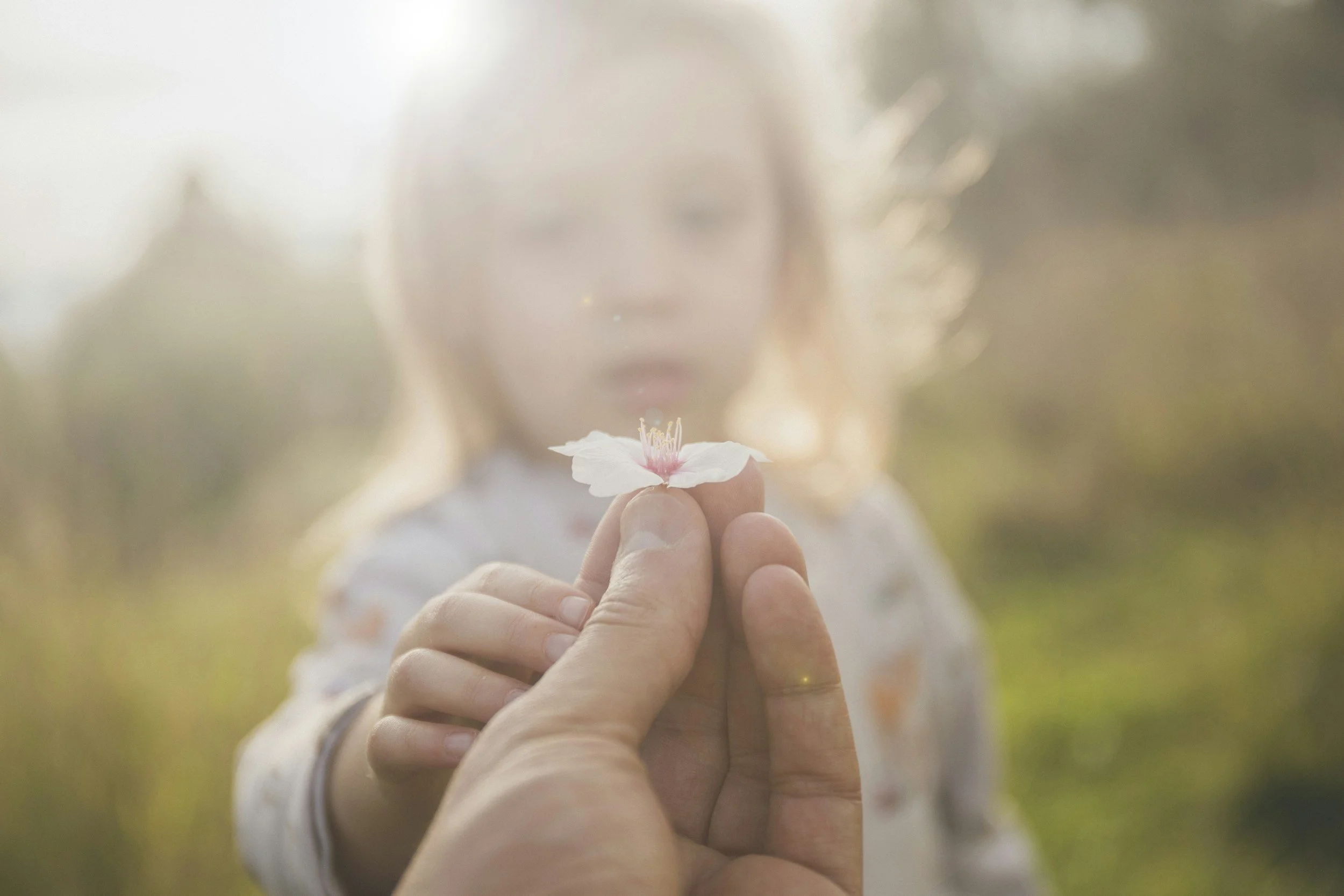 Child exploring nature through curiosity and outdoor play.