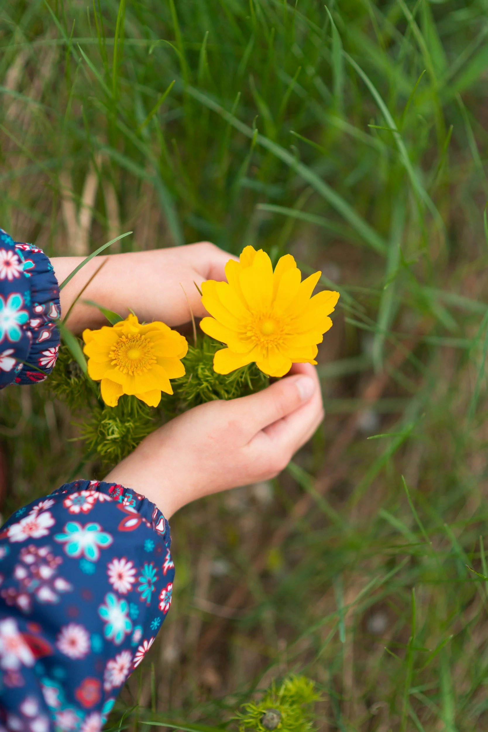 Child holding wildflowers while exploring the natural world through outdoor play.