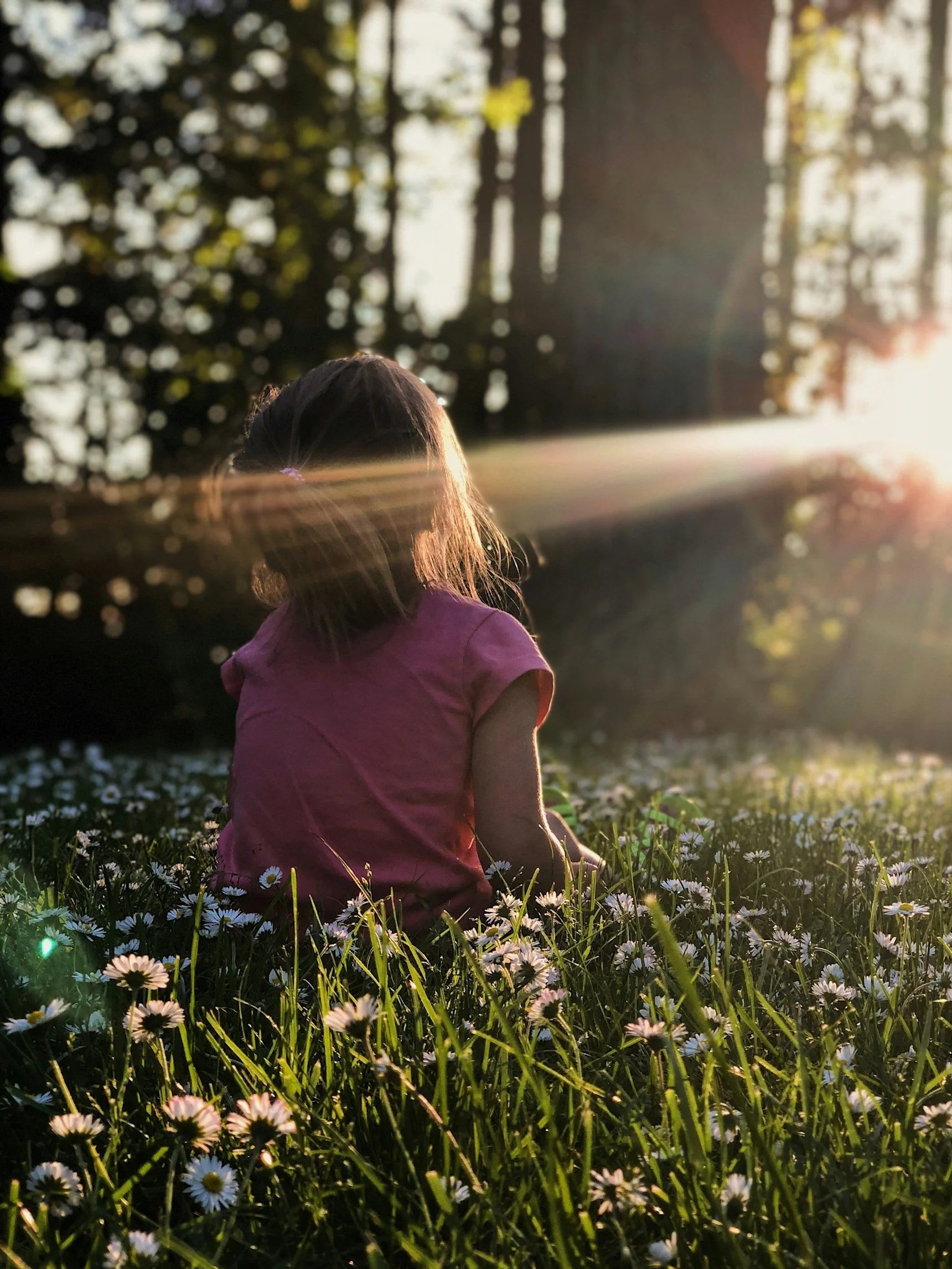 A young girl sitting in a field of white daisies during sunset, with trees in the background and sunlight creating a warm glow.