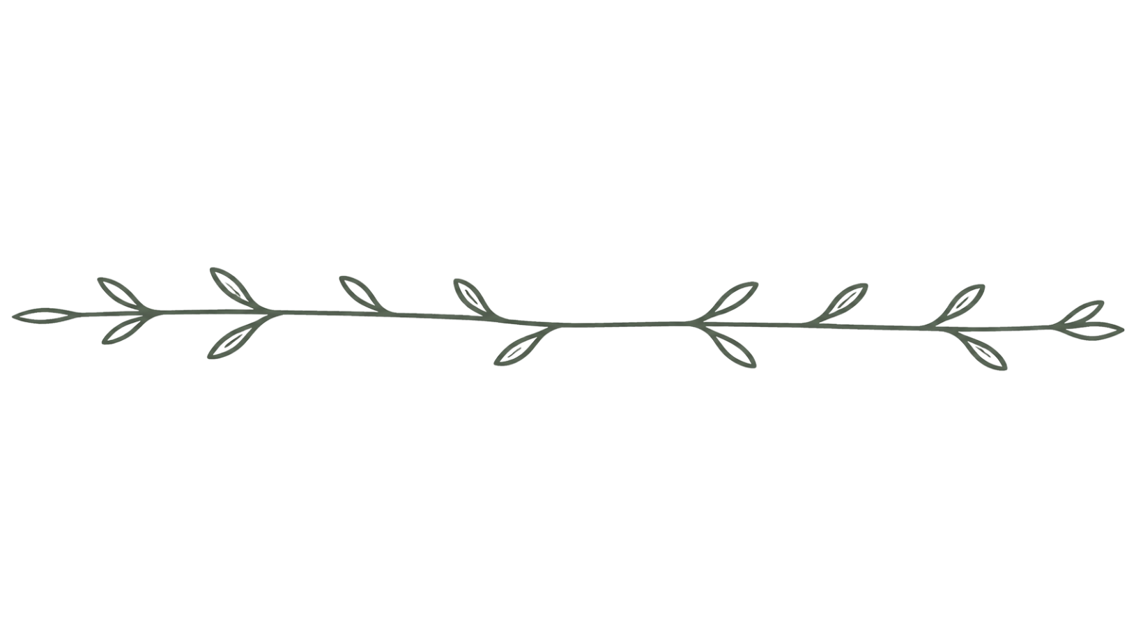 A simple black outline of a horizontal branch with leaves, overlayed on a pale yellow and light gray rectangular background.