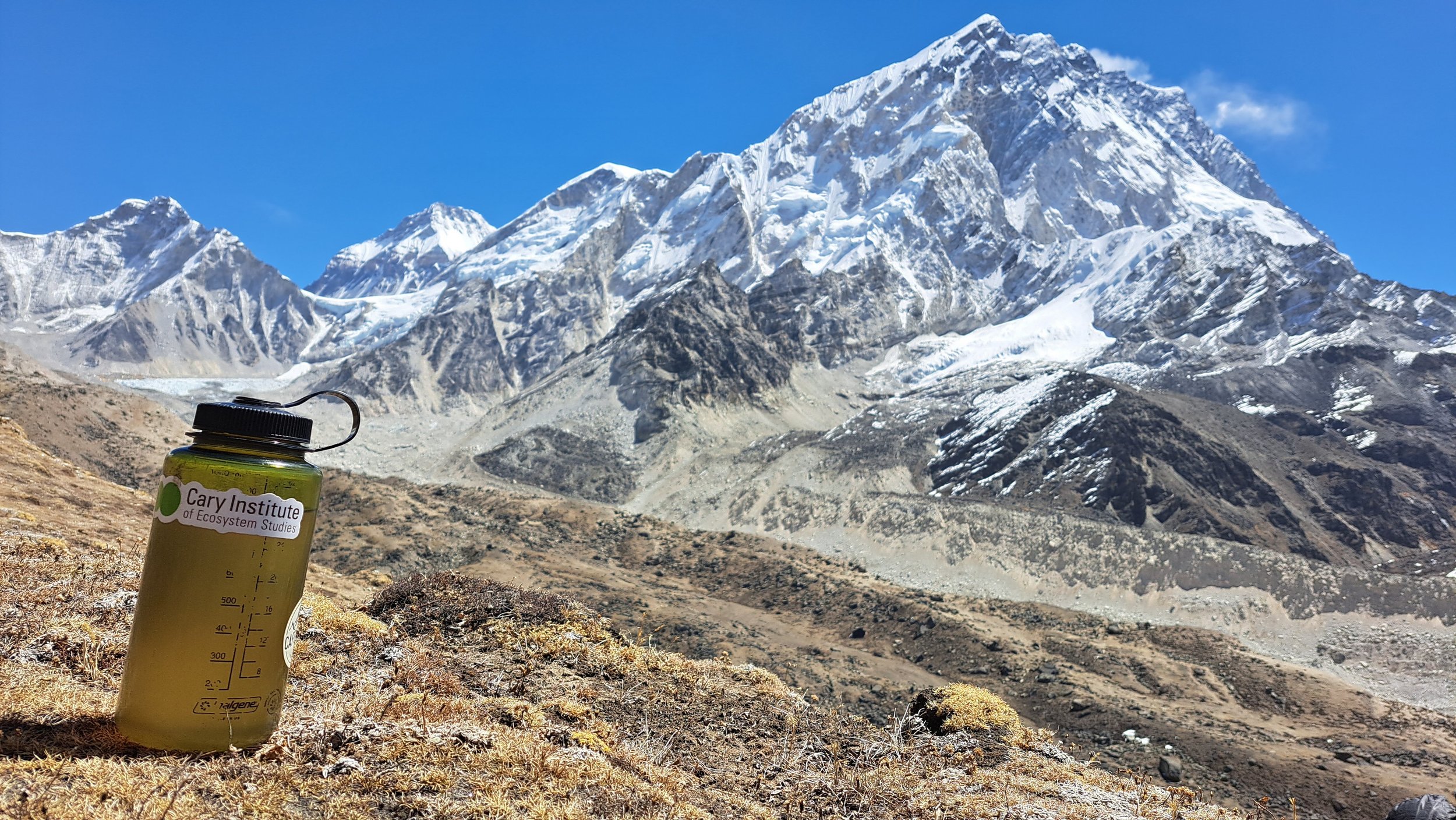 A yellow hiking water bottle labeled 'Cary Institute of Ecosystem Studies' placed on rocky ground with sparse grass, overlooking snow-capped mountains and a blue sky.