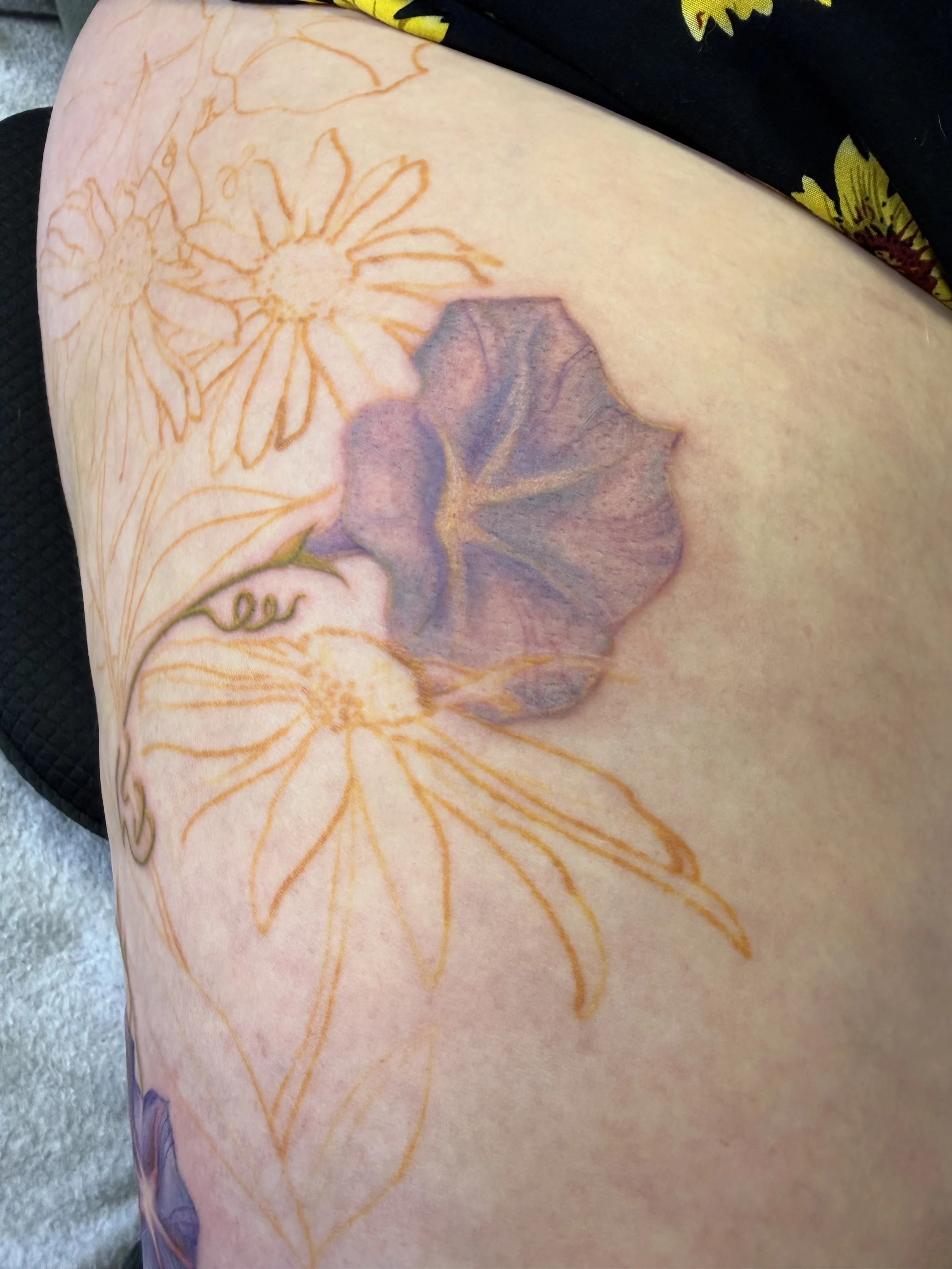 IMG_3734.jpeg