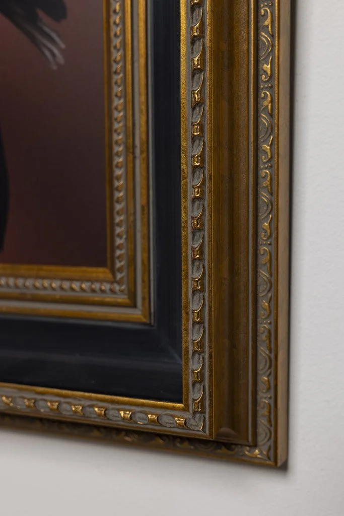 kaat-stieber-black-woodpecker-framed-2657.jpg