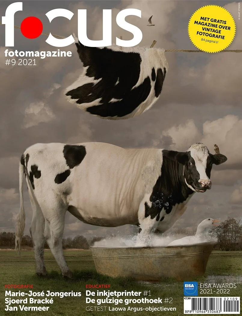 Een surrealistische afbeelding met een koe die in een grote bak water staat en een andere koe die op een bed plaatst op een open veld, met een grote zwevende melkkoe boven de omgeving en een zwarte en witte melkkoe die op de achtergrond staat.