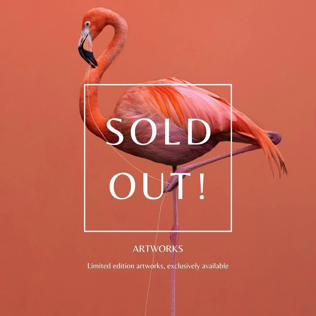 Een afbeelding van een roze flamingo met een 'Sold Out' onderschrift, op een roze achtergrond