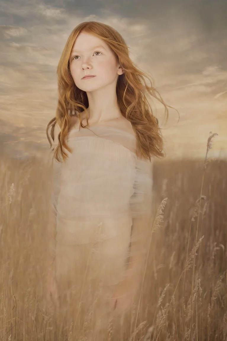 k.stieber-dutch-fields-01.jpg