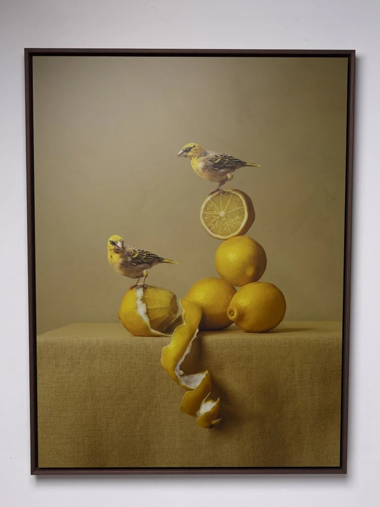 kaat-stieber-lemons-schilderij-2670-2.jpg