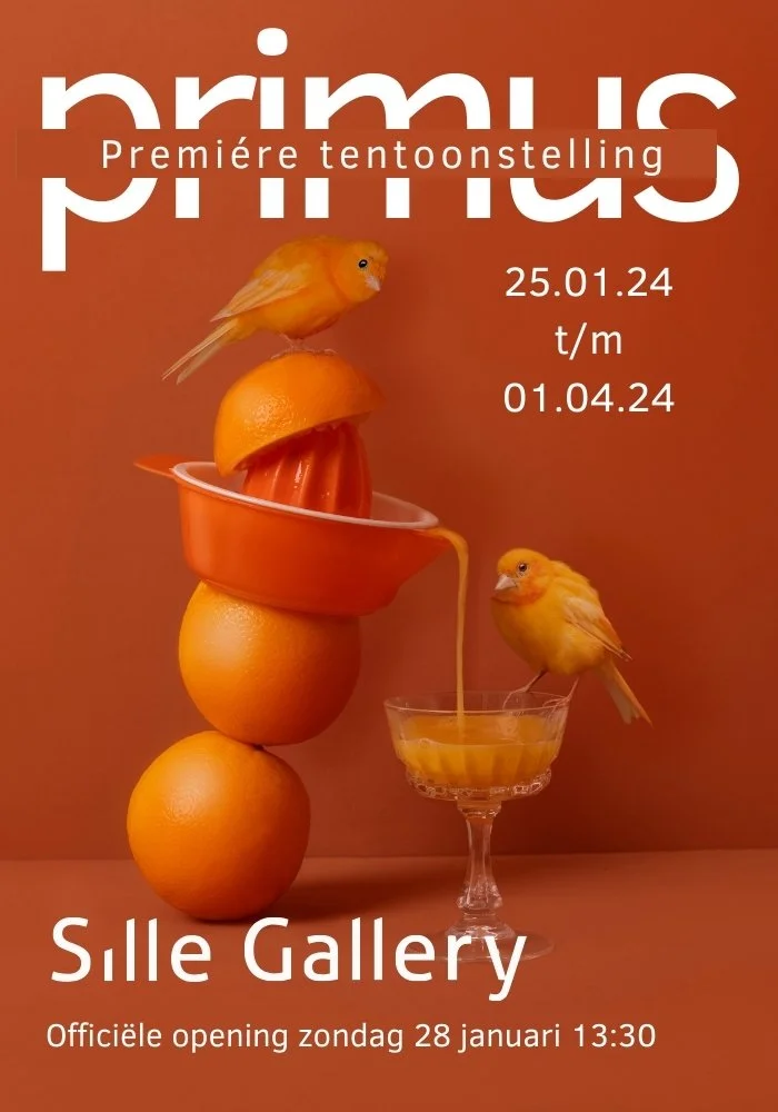Expositie Primus - Start van het Kunstjaar 2024 bij Sill Gallery
