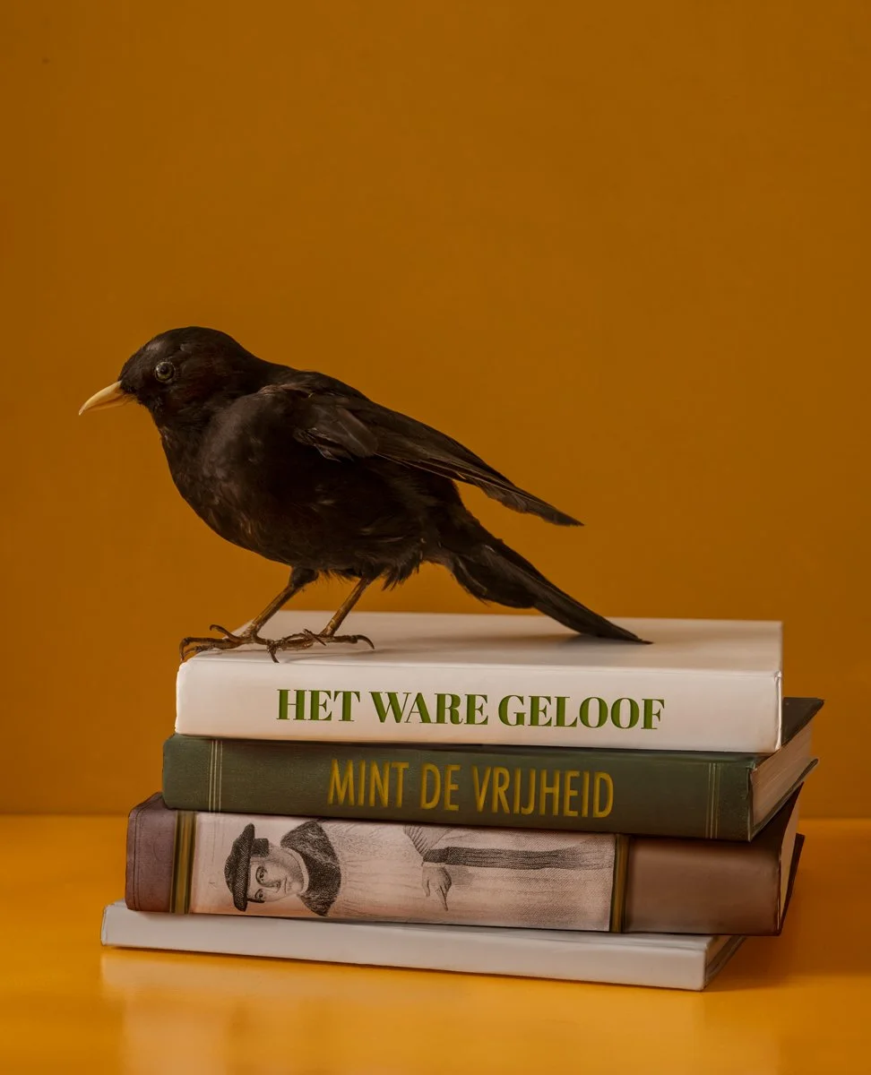 angelus merula, kunst voor een 50 jarig jubileum