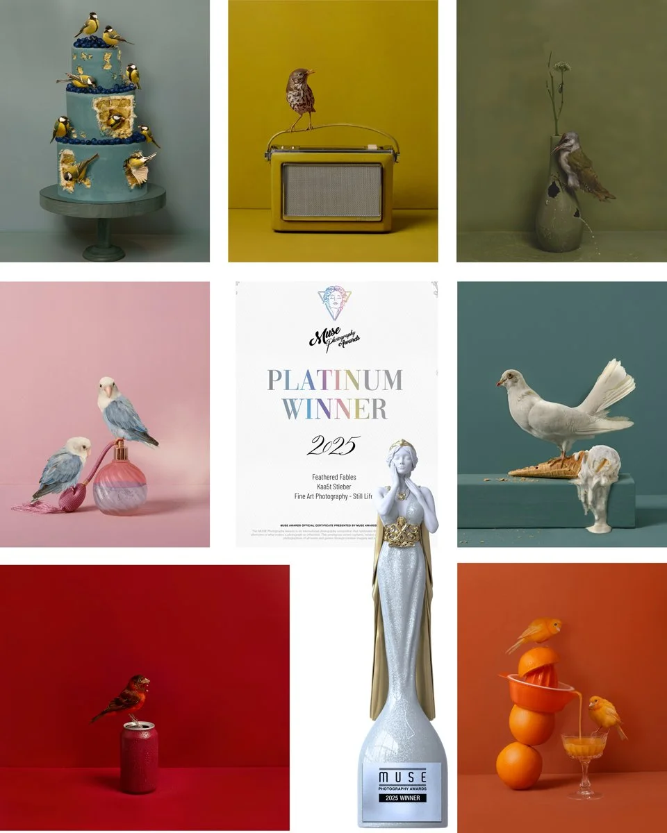 Feathered Fables bekroond met Platinum bij de MUSE Photography Awards!