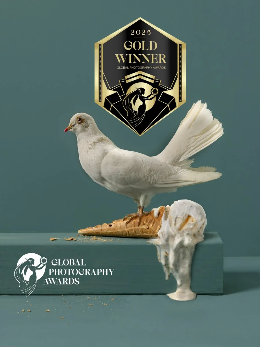 Internationale Prijs  voor Feathered Fables