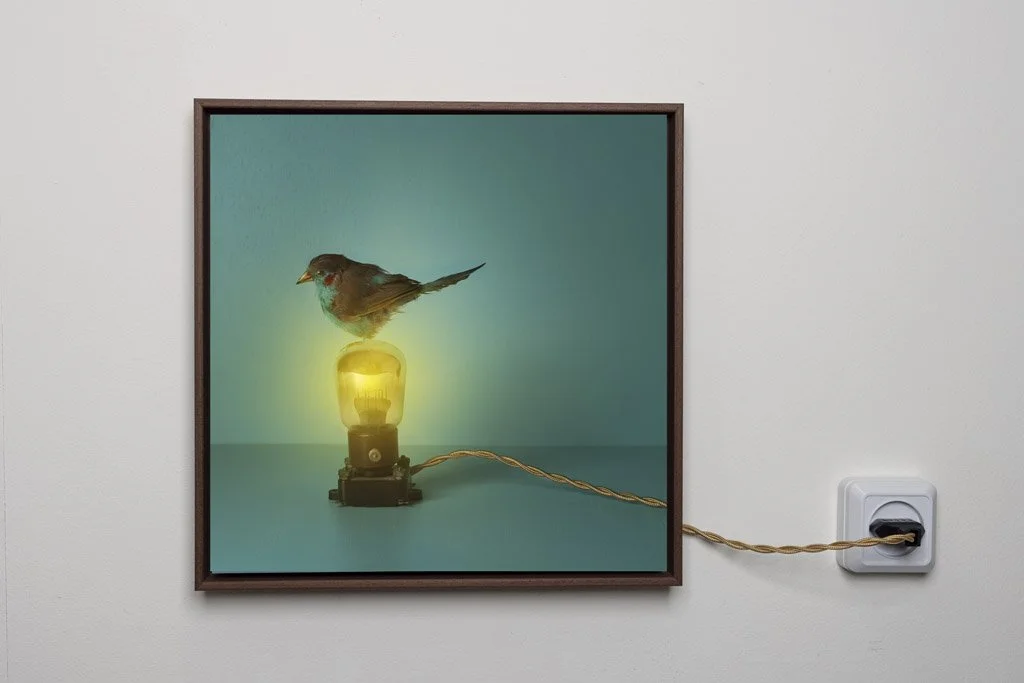 Brilliance: Wanneer een dierbare herinnering verandert in kunst.