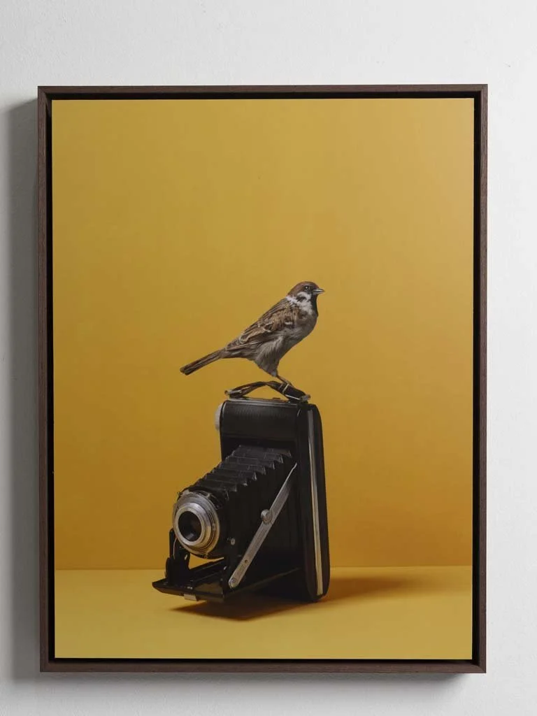 snap-schilderij-fine-art-foto-kunst-geel-kaat-stieber-8845.jpg