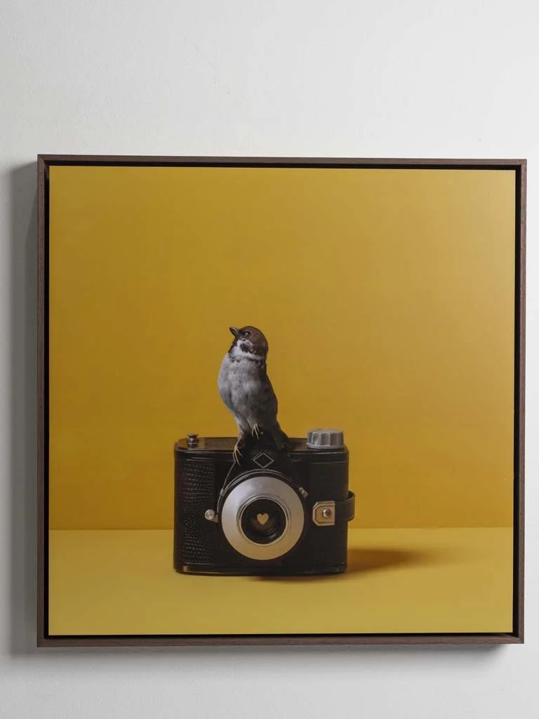 click-schilderij-fine-art-foto-kunst-geel-kaat-stieber-8848.jpg