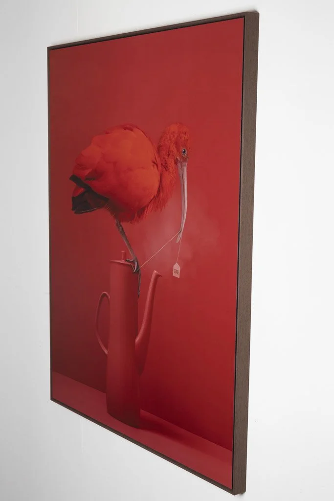 rode-ibis-theepot-kunstwerk-ingelijst-schilderij-kaat-stieber.jpg