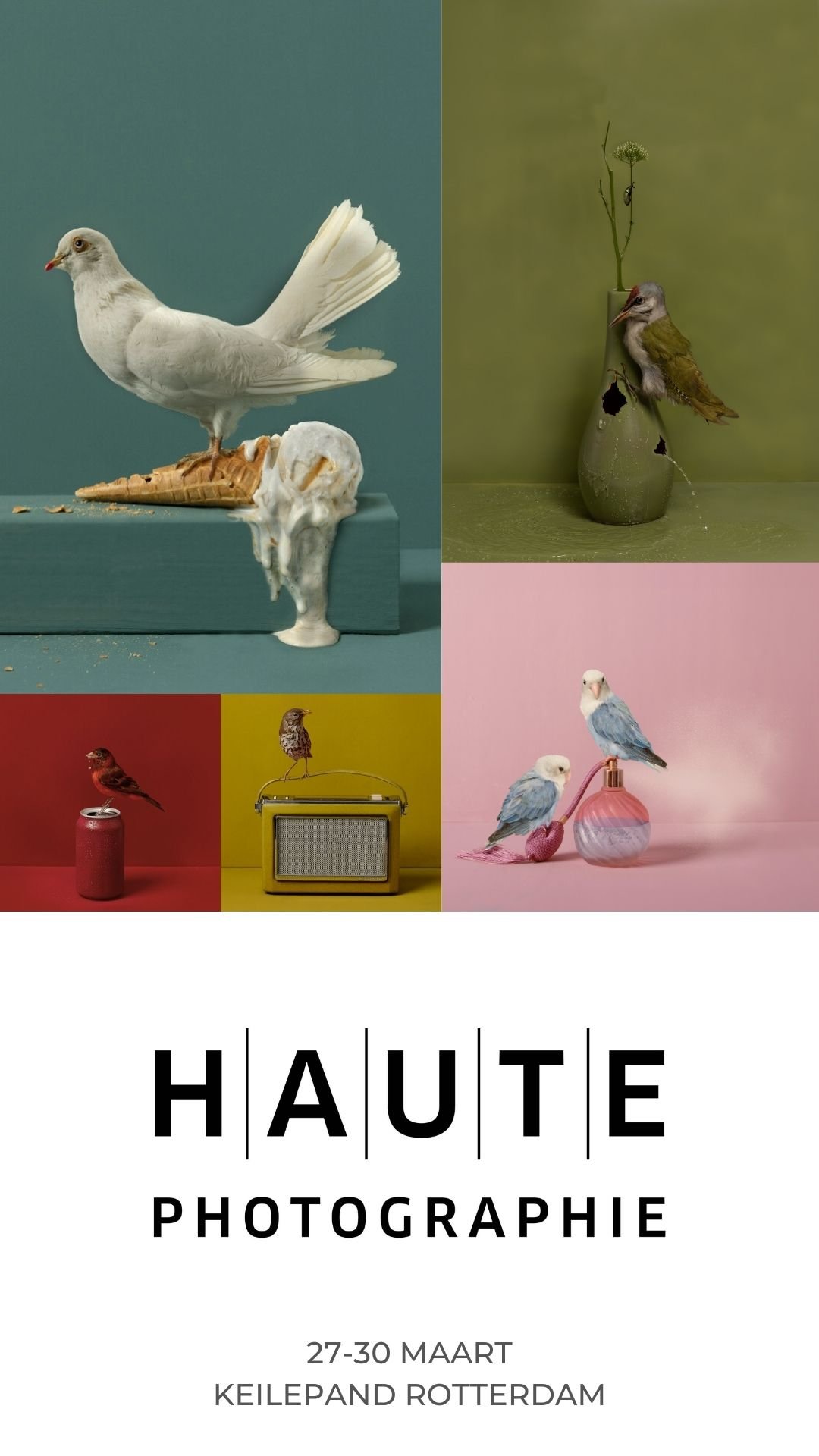 Vijf foto's van diverse vogels en objecten, met de tekst 'Haute Photographie' en details over een tentoonstelling van 27 tot 30 maart in Keilepand Rotterdam.