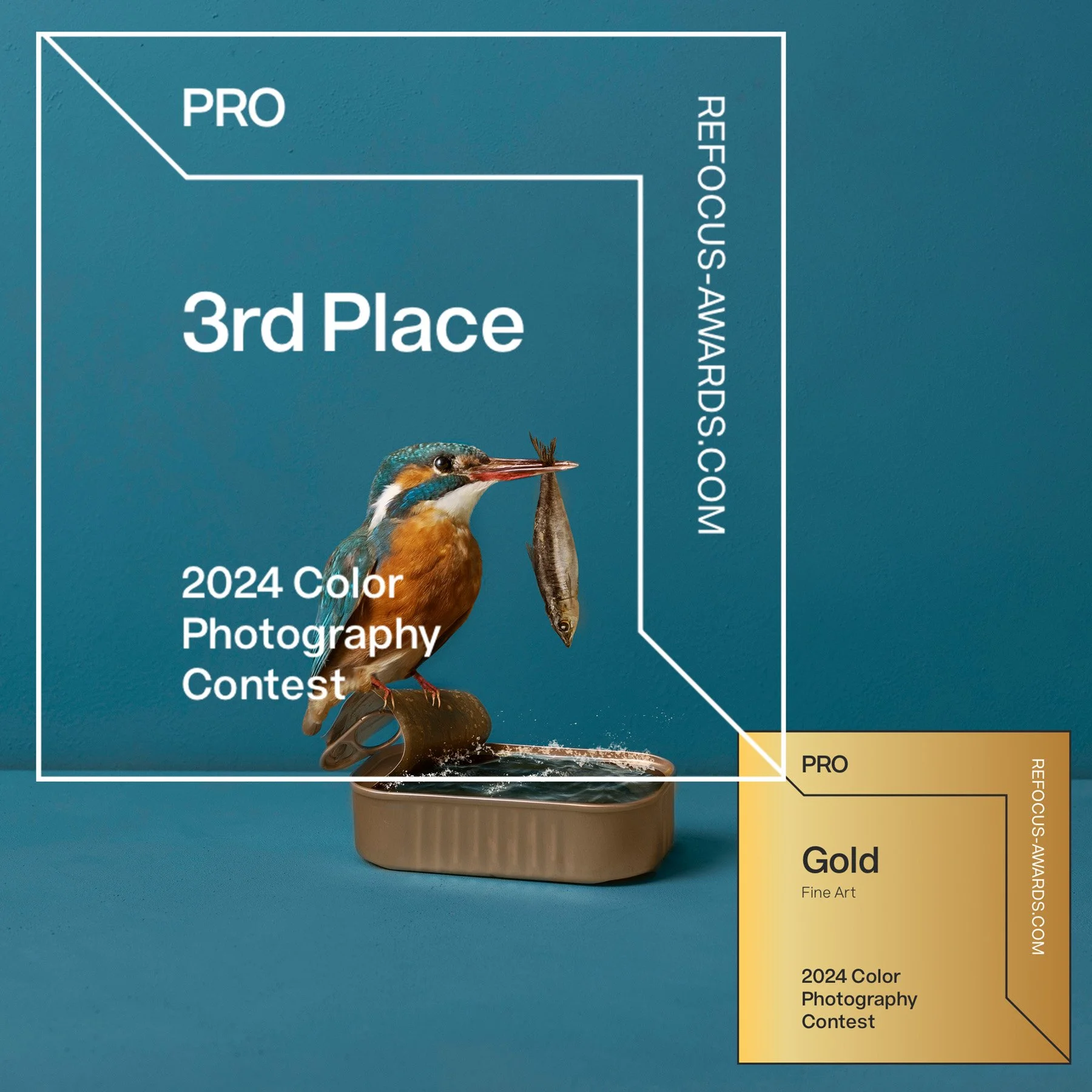 kaat-stieber-king-fisher-refocus-award-winning.jpg
