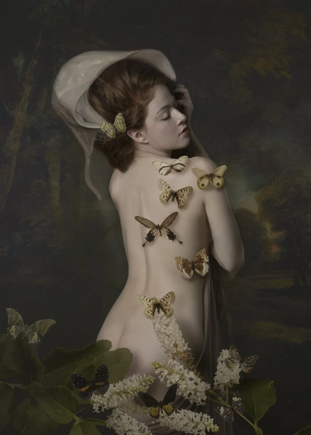 k-stieber-butterfly.jpg
