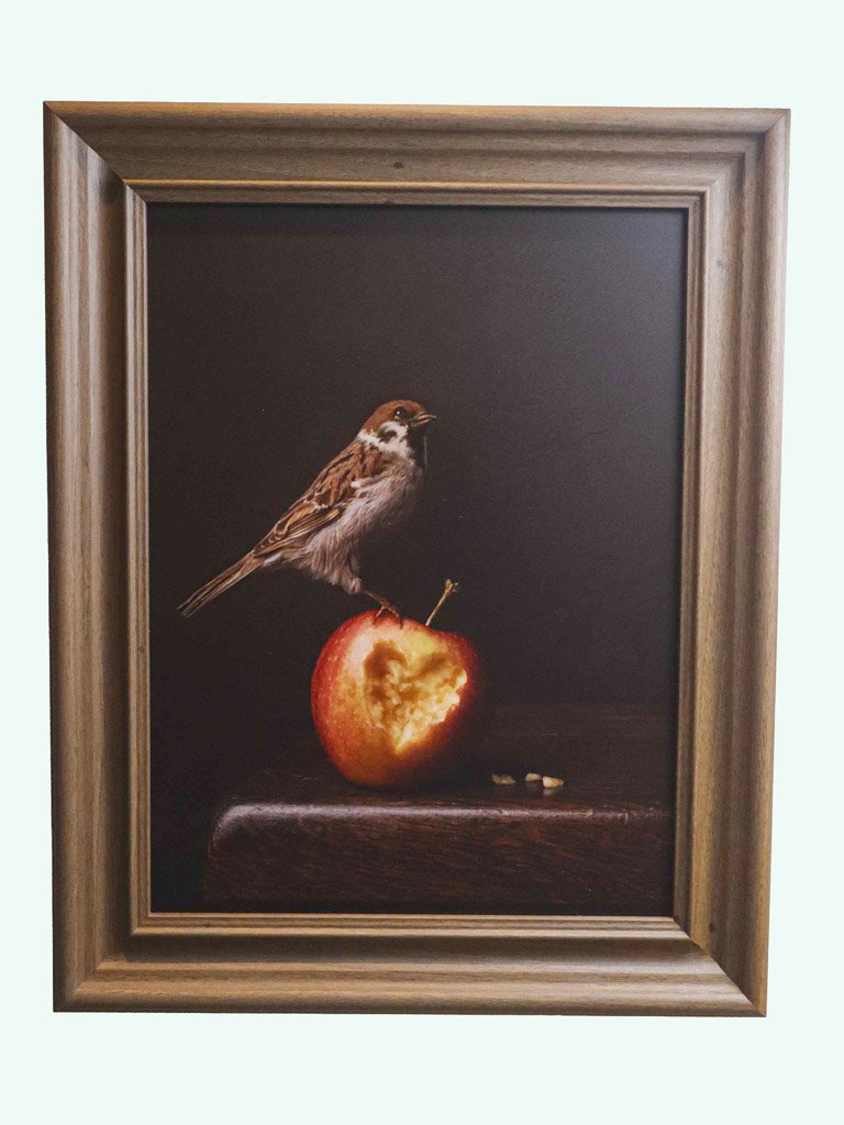 kaat-stieber-sparrow-frame-7030_1.jpg