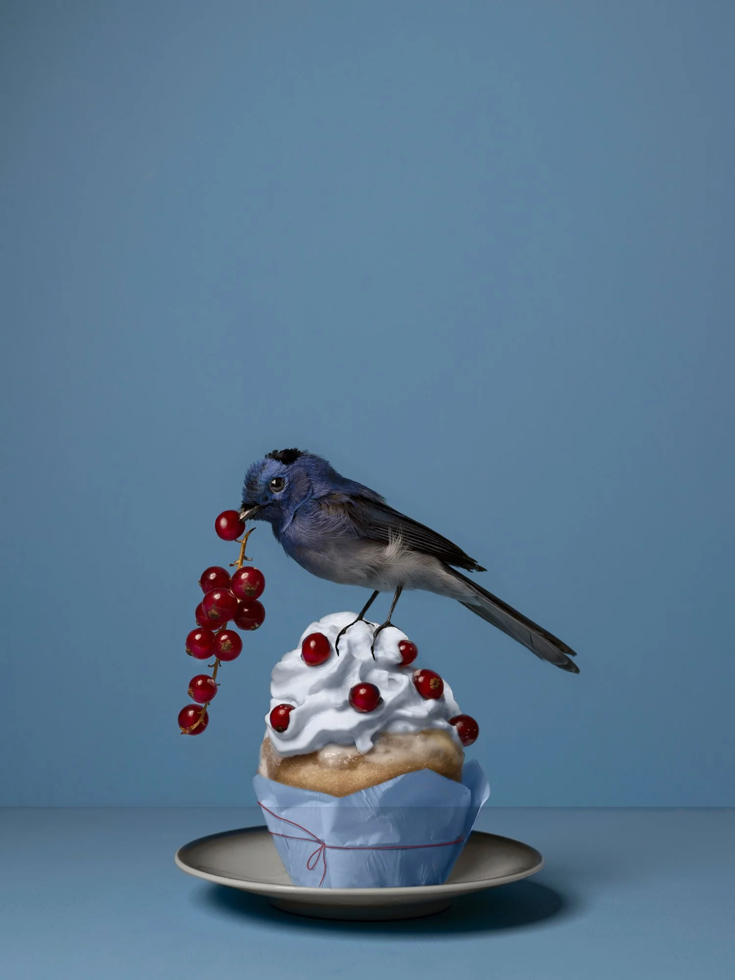 Een vogel die op een toren van slagroom met kersen staat, met een kers in zijn snavel, op een blauwe achtergrond.