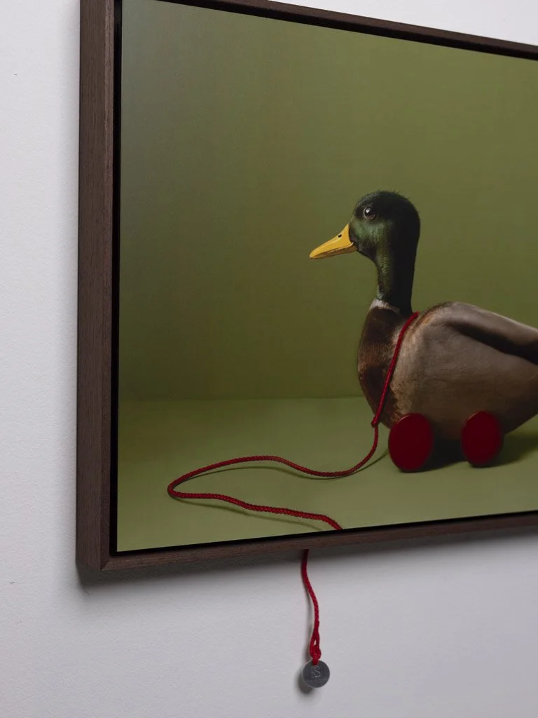 kaat-stieber-schilderij-duck-1368.jpg