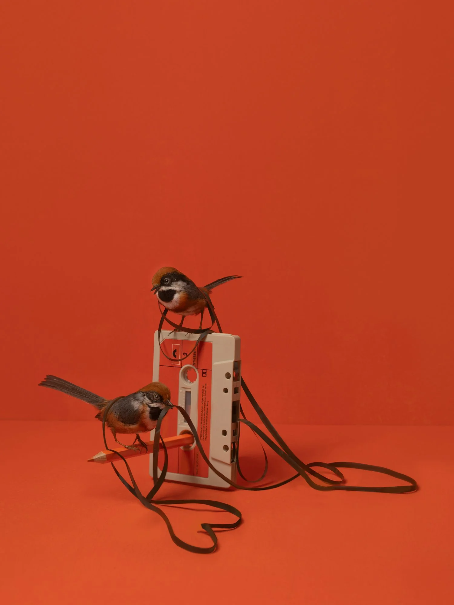 Tape Act