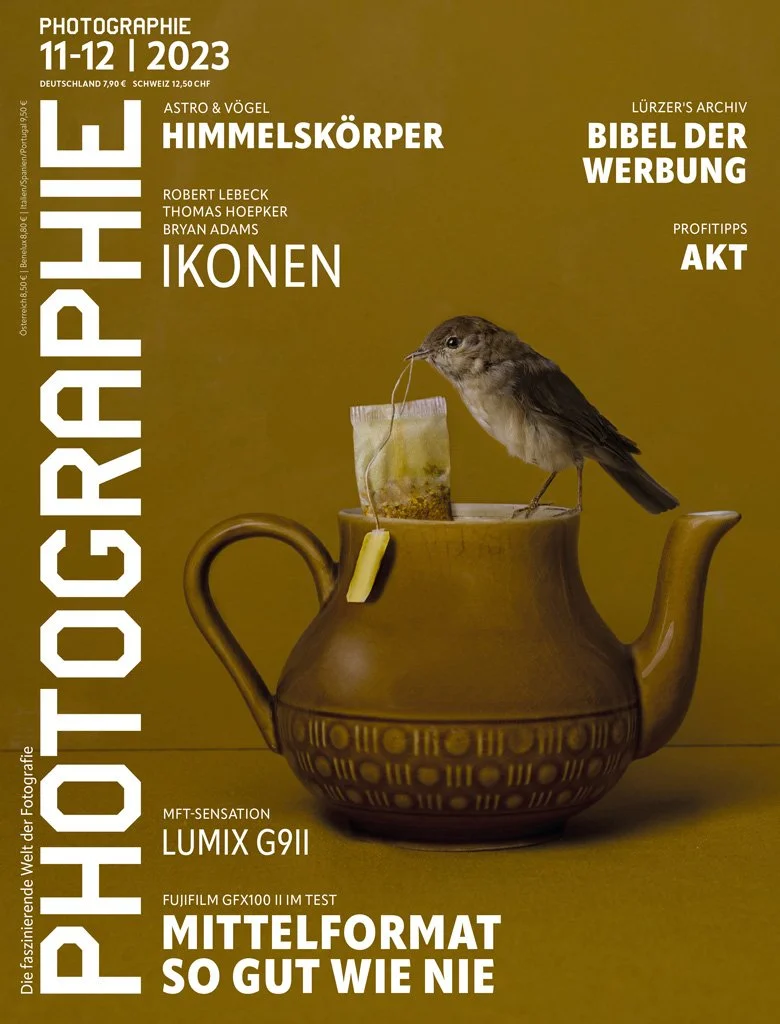 Een foto van een theepot met een vogel die aan een theebuiltje knabbelt, tegen een okergele achtergrond.