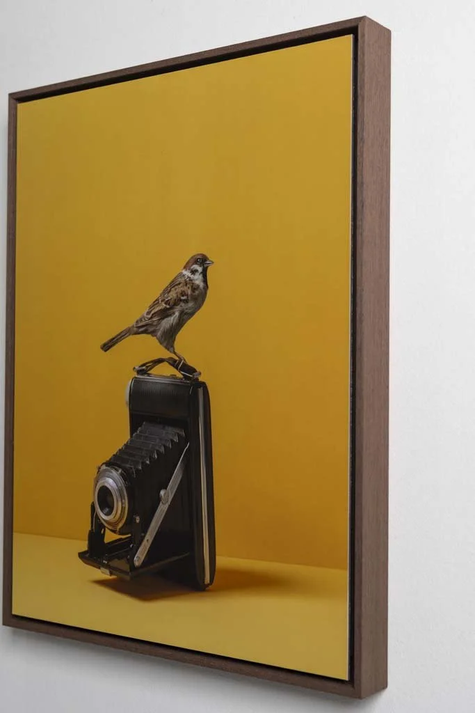 snap-schilderij-fine-art-foto-kunst-geel-kaat-stieber-8844.jpg
