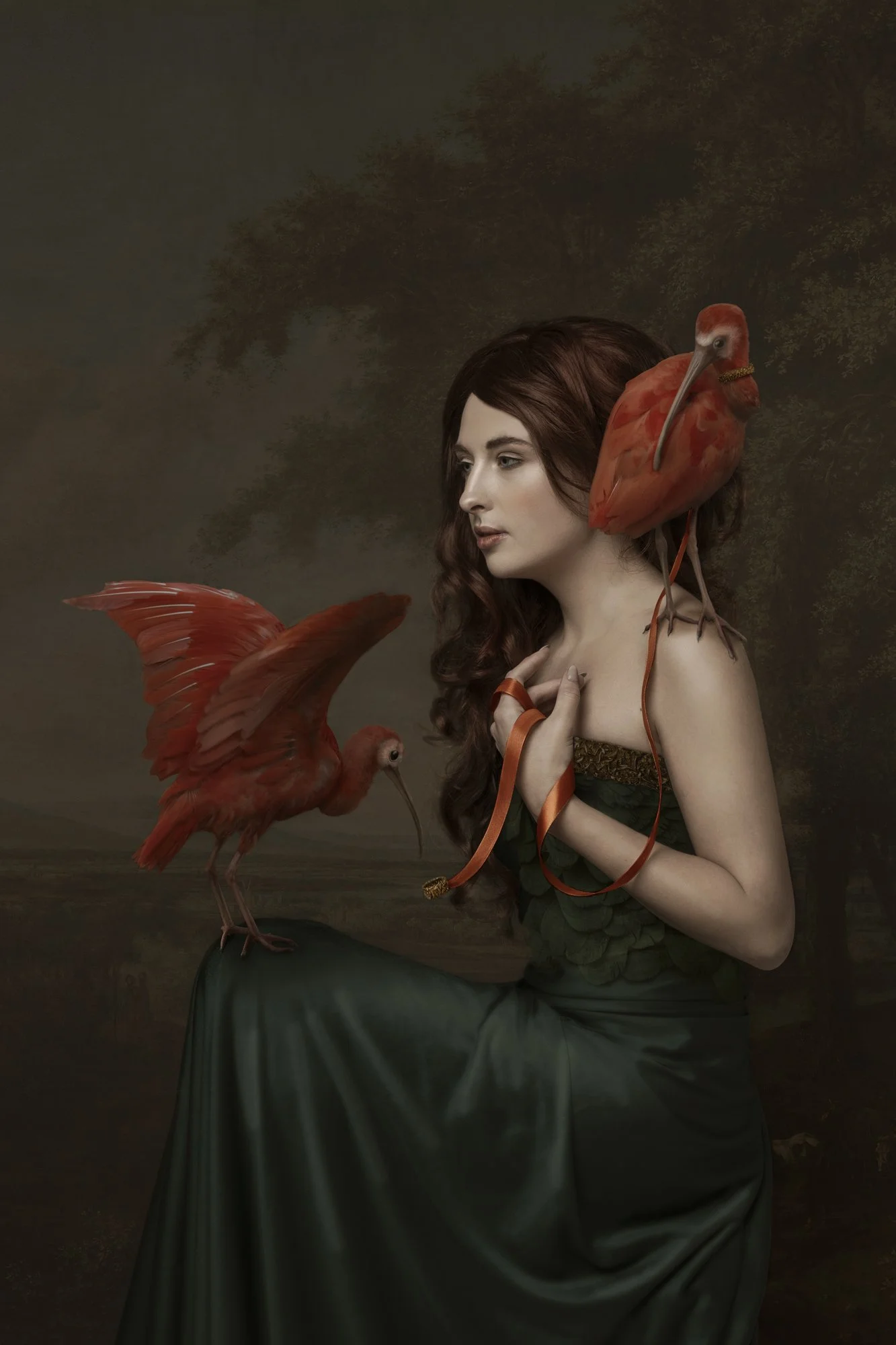 lady Ibis