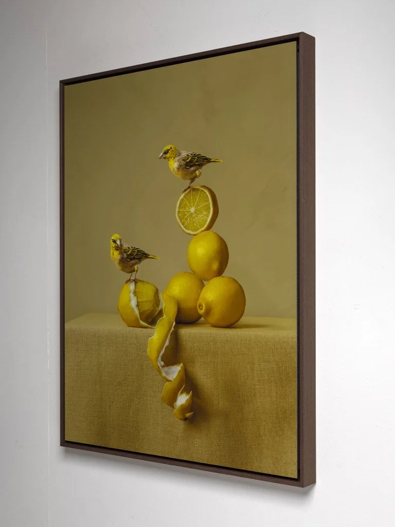 kaat-stieber-lemons-schilderij-2674.jpg