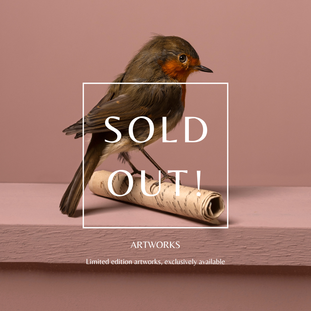Een vogel met oranje gezicht en bruin lichaam zit op een rolletje papier op een roze oppervlak met een roze achtergrond. Text overlay: SOLD OUT! ARTWORKS Limited edition artworks, exclusively available.