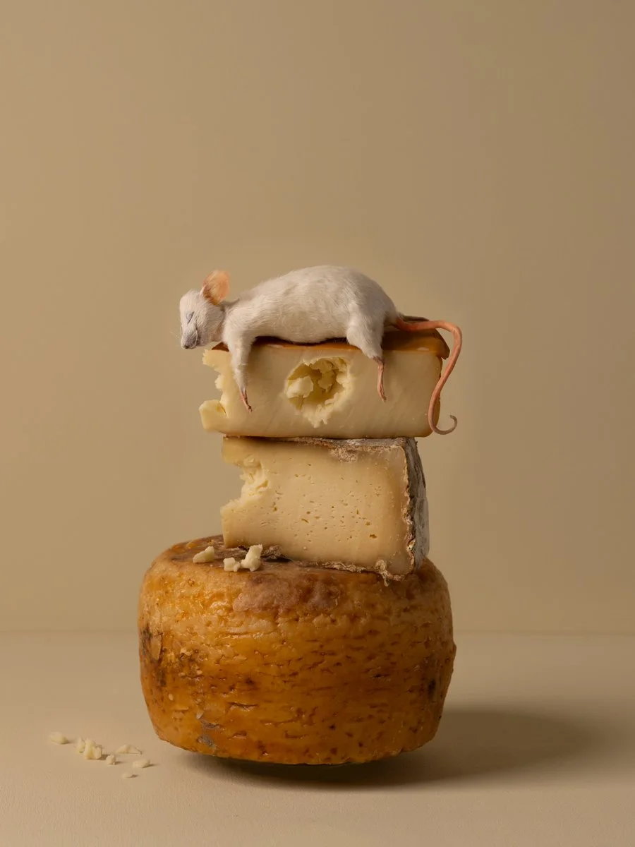 kaat-stieber-cheesy-muis.jpg