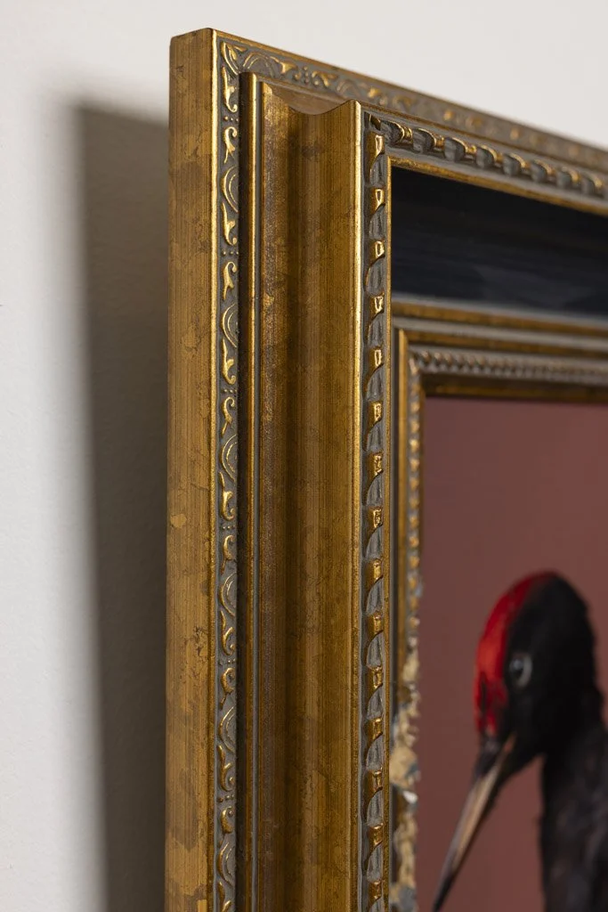 kaat-stieber-black-woodpecker-framed-2660.jpg