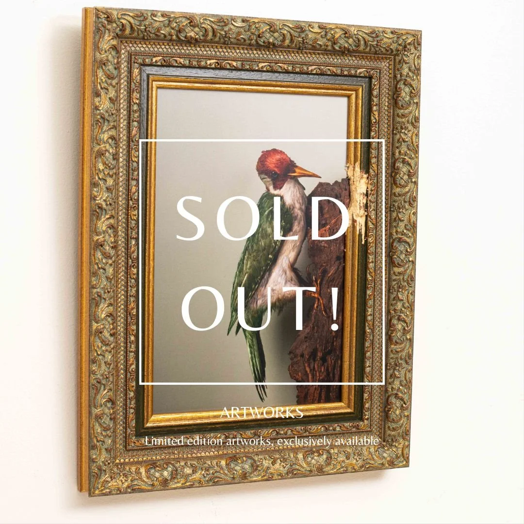 schilderij-pecker-kaat-steber-sold-out.jpg
