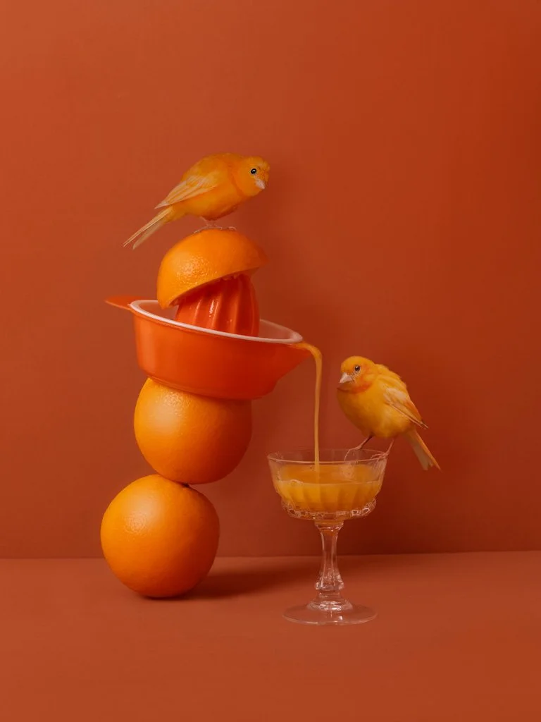 kaat-stieber-orange-juicy.jpg
