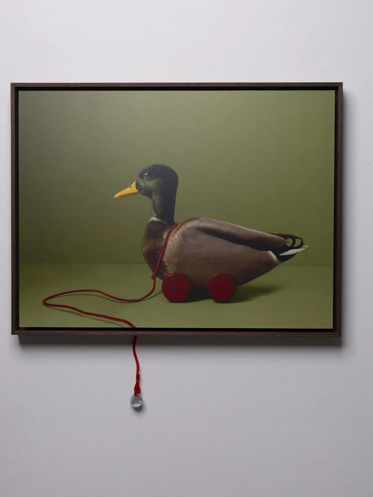 kaat-stieber-schilderij-duck-1367.jpg