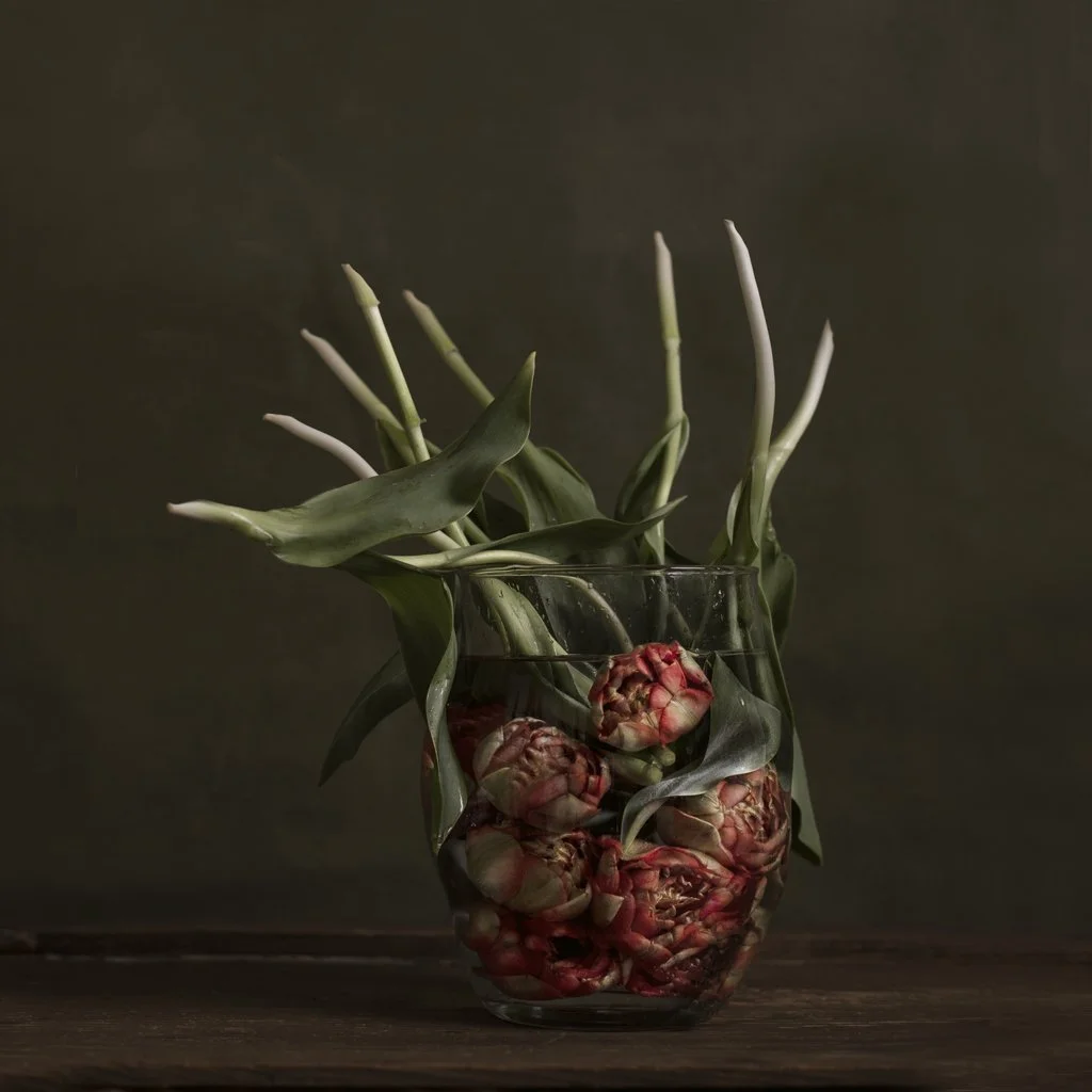 k-stieber-quarantine-stillife-1.jpg