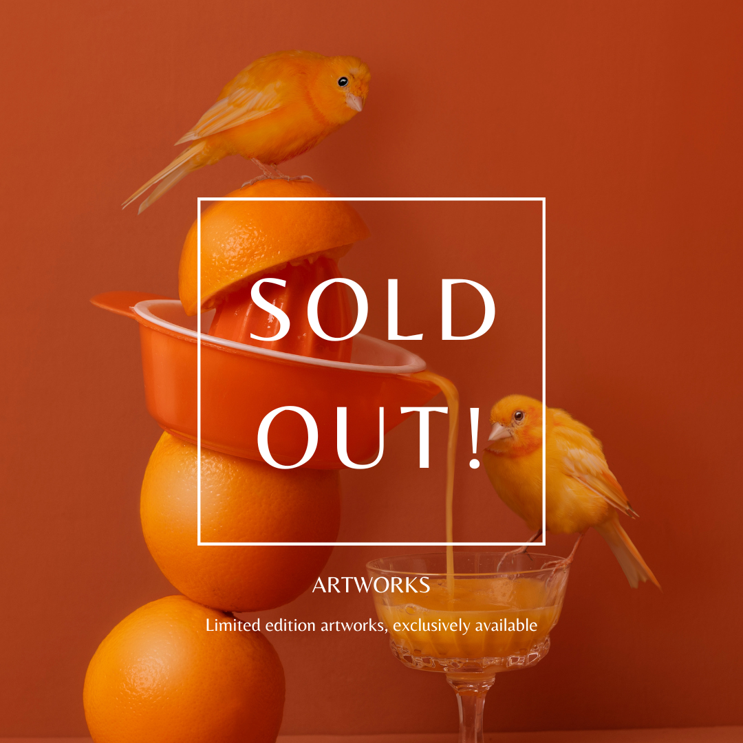 Een afbeelding van meerdere sinaasappels en twee gele vogelmodellen, één op een sinaasappel en één in een cocktailglas, met een oranje achtergrond en een 'Sold Out!' overlay.