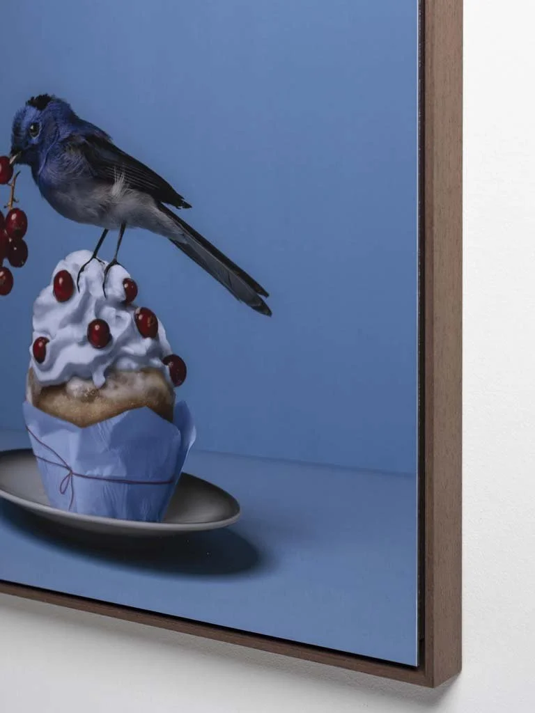 sweet-treat-fine-art-foto-blauw-kusnt-kaat-stieber-8838.jpg