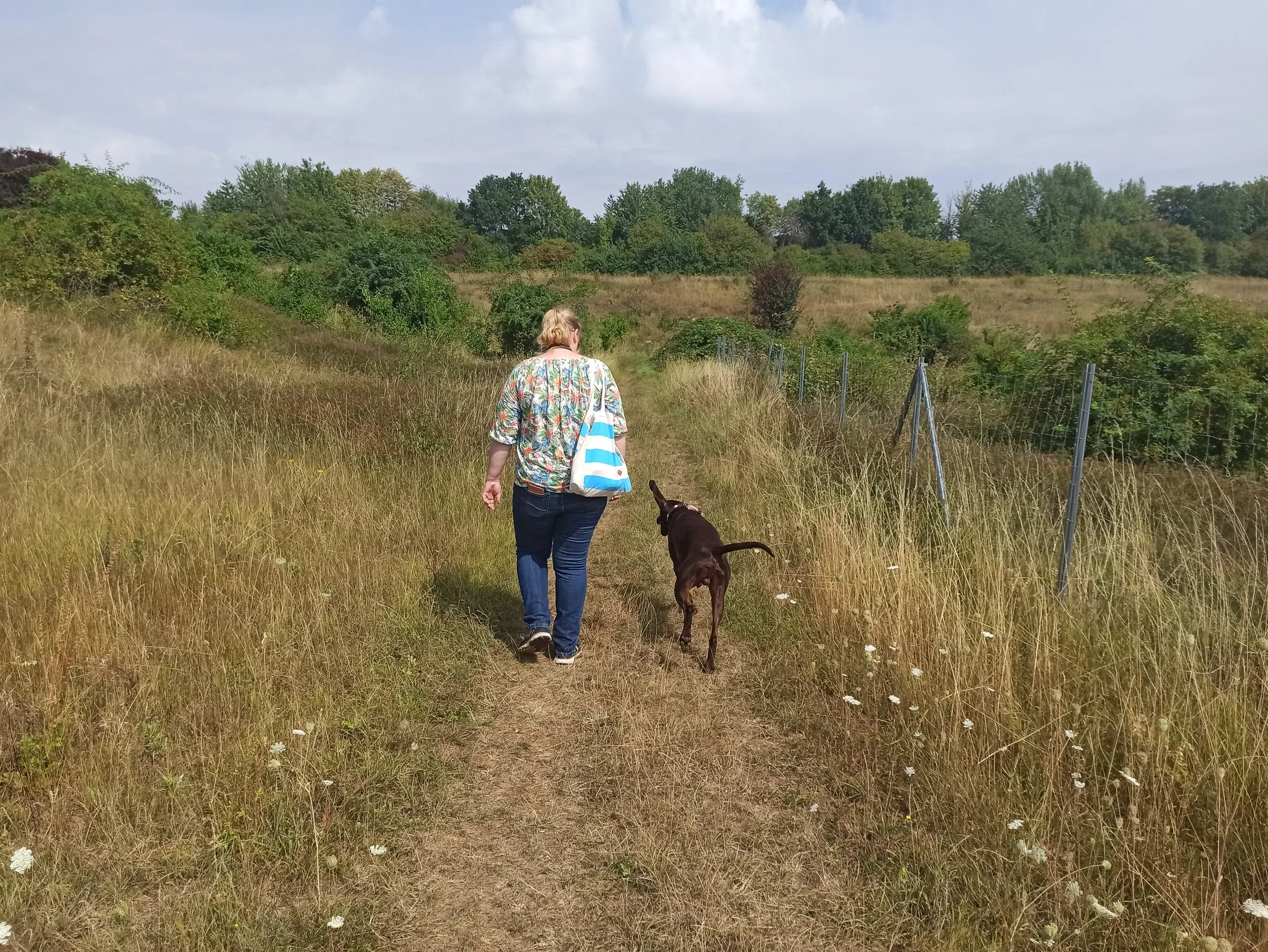 Frau mit Stofftasche geht mit einem braunen Hund über einen schmalen Feldweg durch eine trockene Wiese.