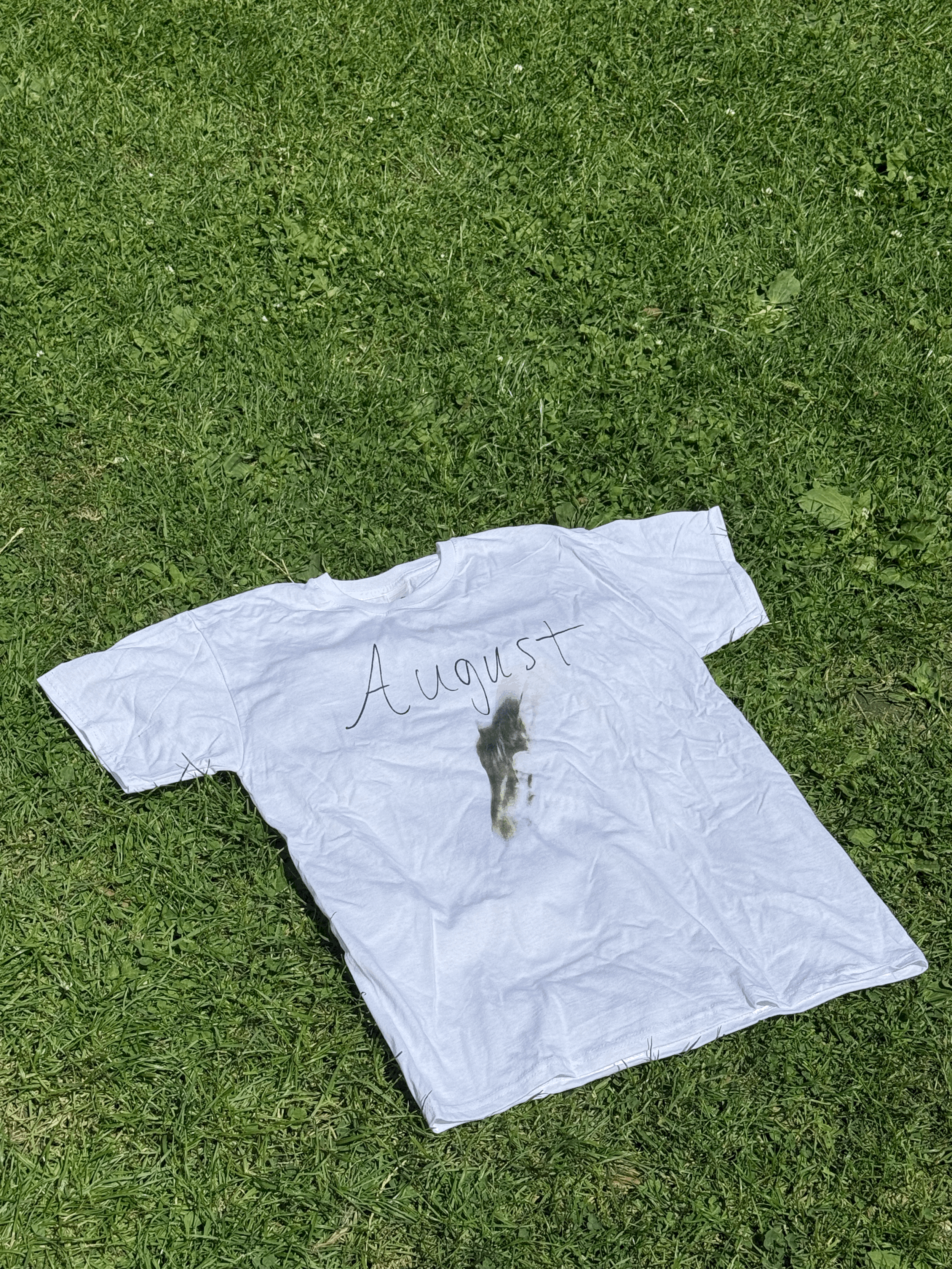 tempImageCMMmb7.gif