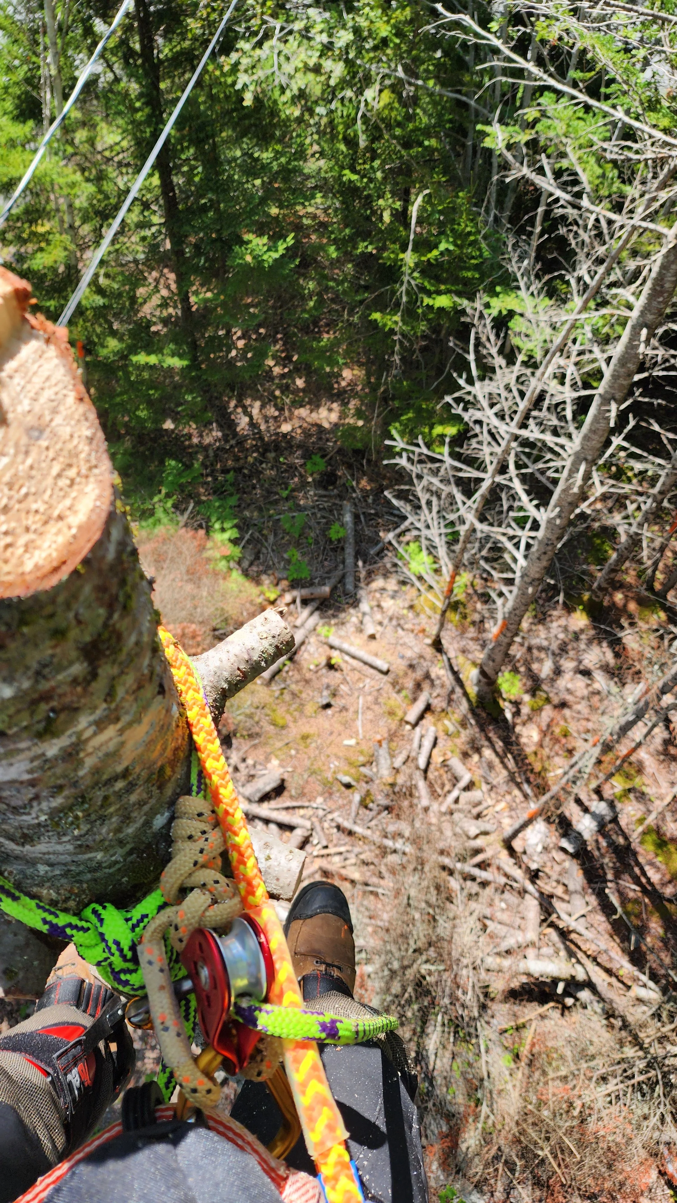 a view from the top.